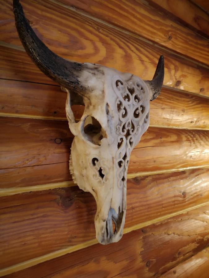 Mt Lyford Lodge Εξωτερικό φωτογραφία